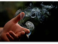 Дым дыму рознь: О последствиях курения сигарет и марихуаны Дым дыму рознь: О последствиях курения сигарет и марихуаны