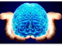 Исследования опровергают вредное воздействие марихуаны на развивающийся мозг