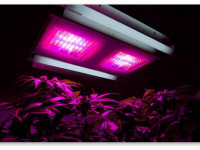 Выращивание марихуаны. Пошаговая инструкция. Шаг 2 - Освещение