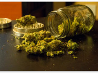 Продажи рекреационной марихуаны в штате Вашингтон составили $3.8 миллиона за первый месяц Продажи рекреационной марихуаны в штате Вашингтон составили $3.8 миллиона за первый месяц