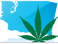 Первые магазины по продаже марихуаны откроются на этой неделе в штате Вашингтон