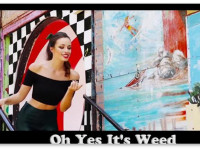 Ролик, призывающий голосовать за медицинскую марихуану, пародирует "Бриолин" (1978, Джон Траволта)