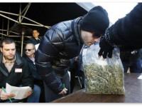 Фермер, вырастивший тонну марихуаны, заработал $600,000 на первом же аукционе