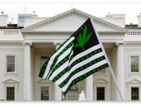 США: Сегодня 5 штатов голосуют за рекреационную марихуану и 4 - за медицинскую