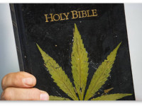 Эксперт по иудаизму и христианству подтверждает мнение конгрессмена по поводу марихуаны и Библии. И другие заголовки