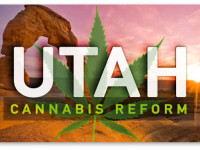 Юта: Представлен законопроект о медицинской марихуане, легализующий "растение целиком"