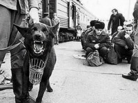 В ГД РФ вновь заговорили о запрете амнистии и УДО по “наркостатьям”