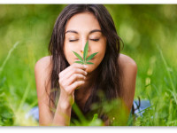 США: Опрос - женщины и конопля